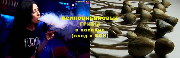 ГАЛЛЮЦИНОГЕННЫЕ ГРИБЫ Абинск