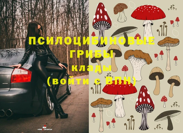 дживик Абаза