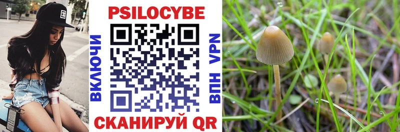 Галлюциногенные грибы мухоморы  Ирбит 
